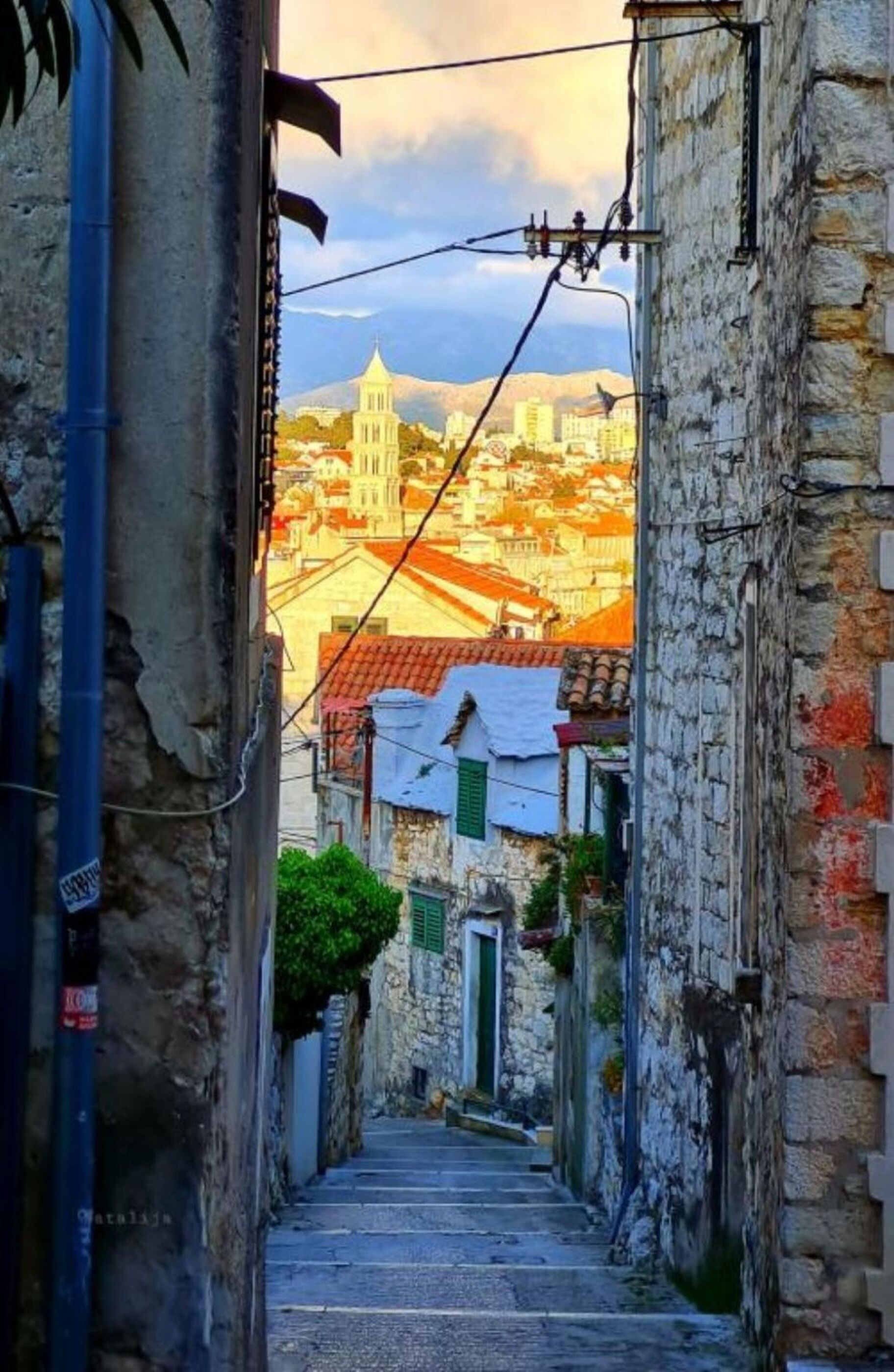 Photo of Apartment Lovely