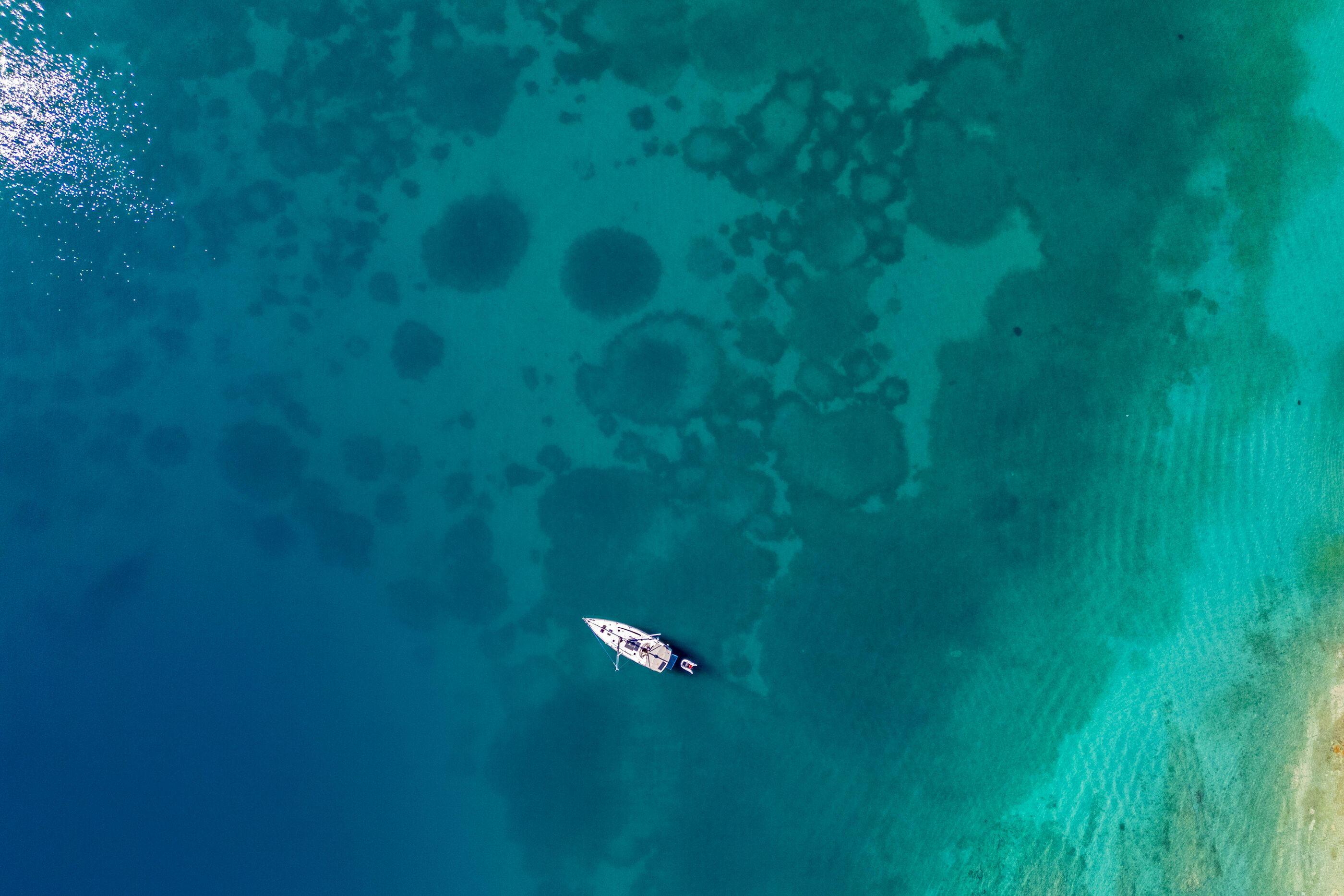 Photo of Apartments Hari