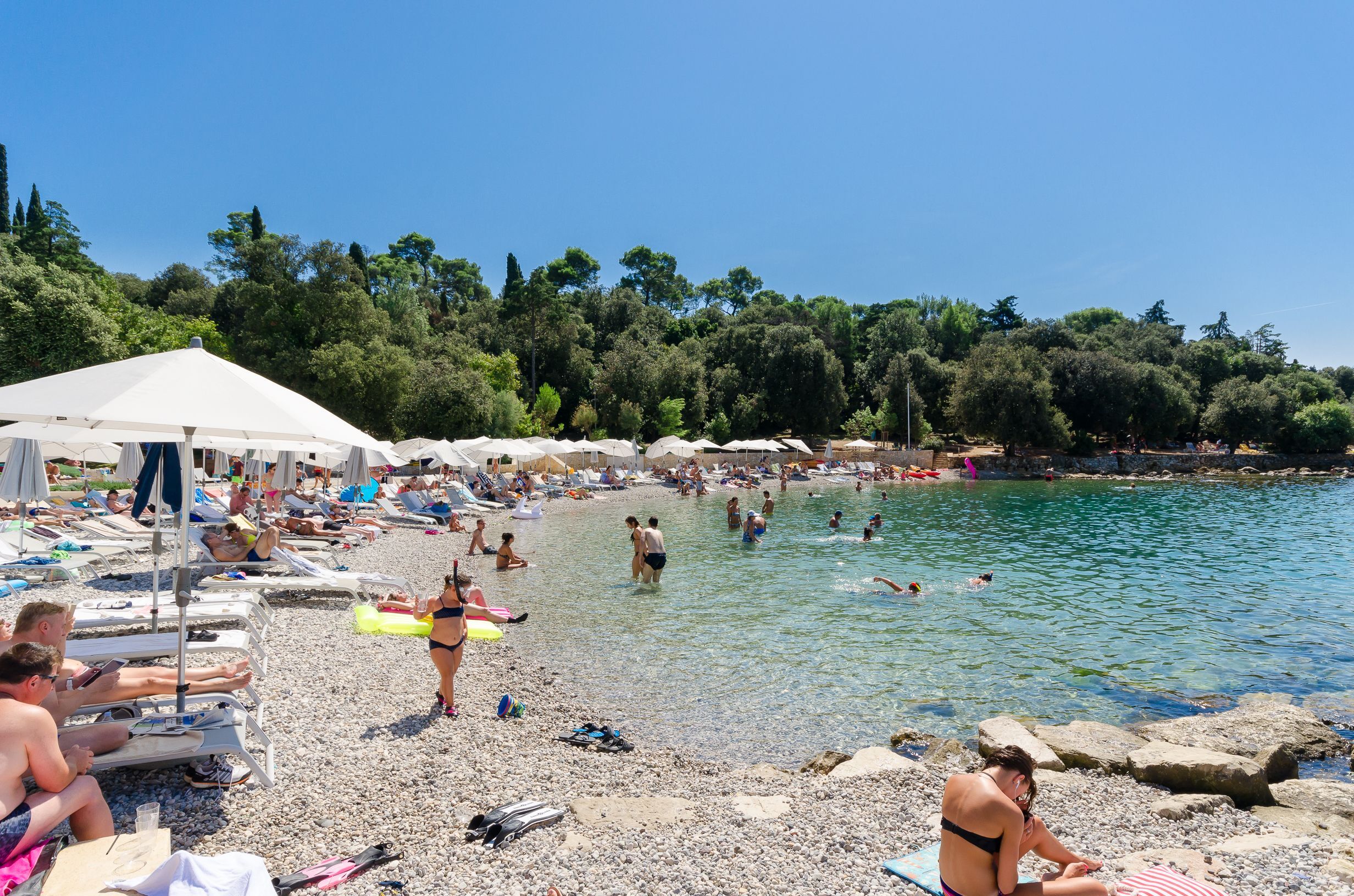 Photo of Apartments Sinisa