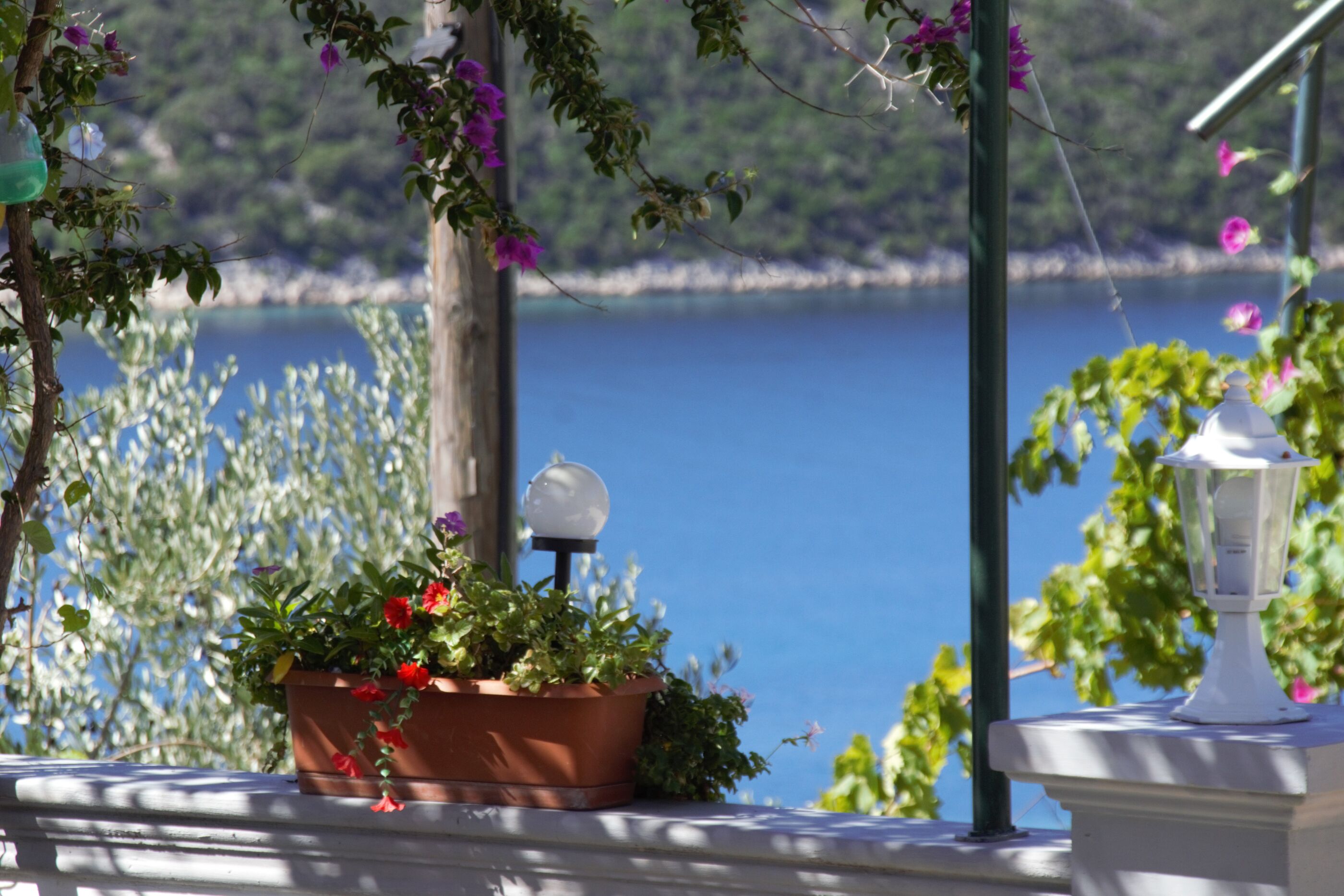 Photo of Apartment Kampor