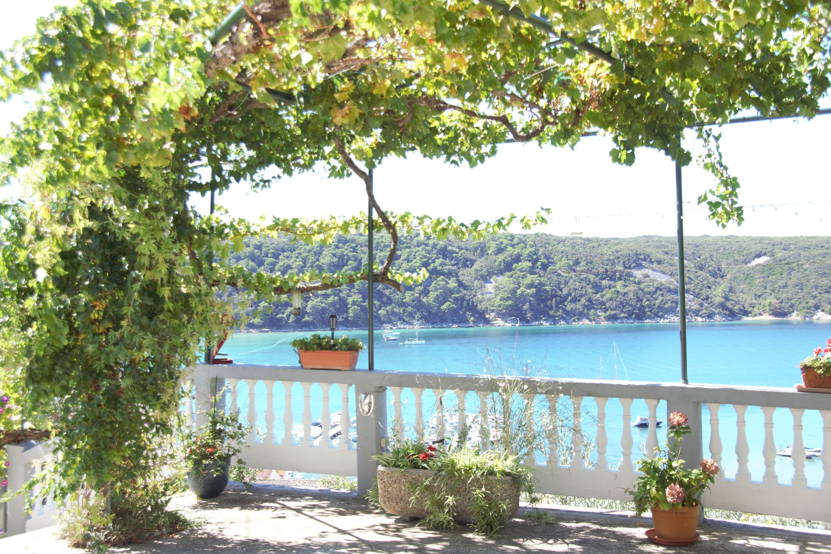 Photo of Apartment Kampor