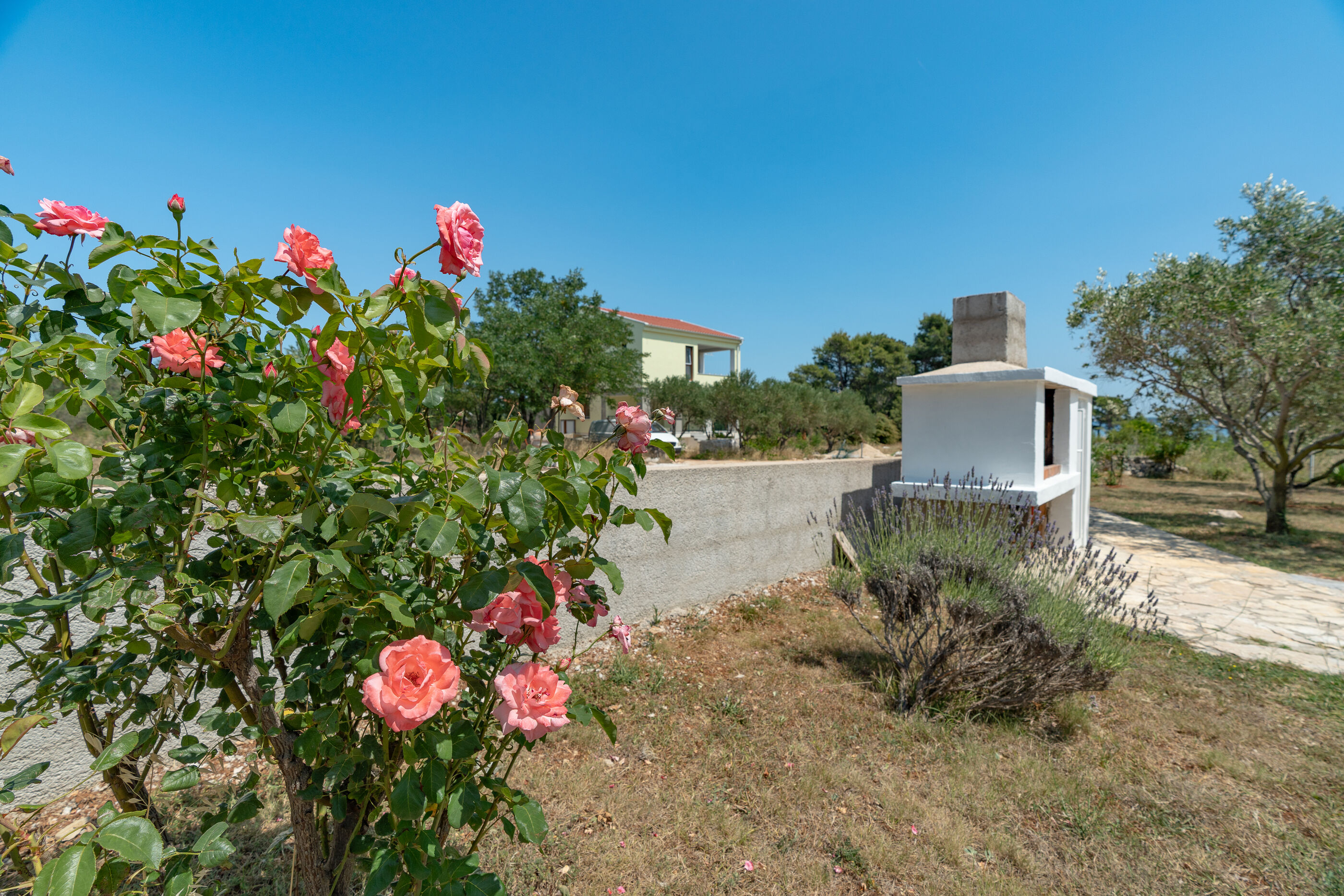 Photo of Apartments Snjeza