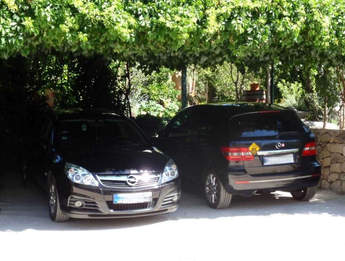 Photo of Apartments Ivo