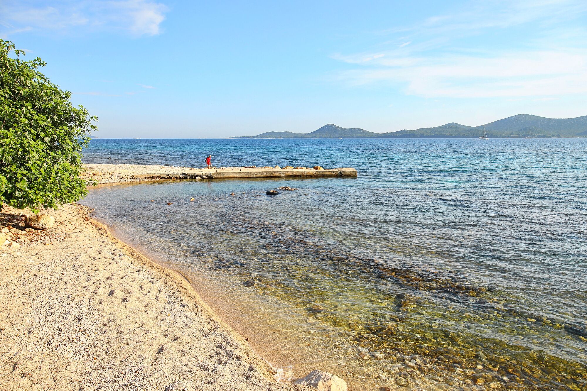 Photo of Apartments Maja