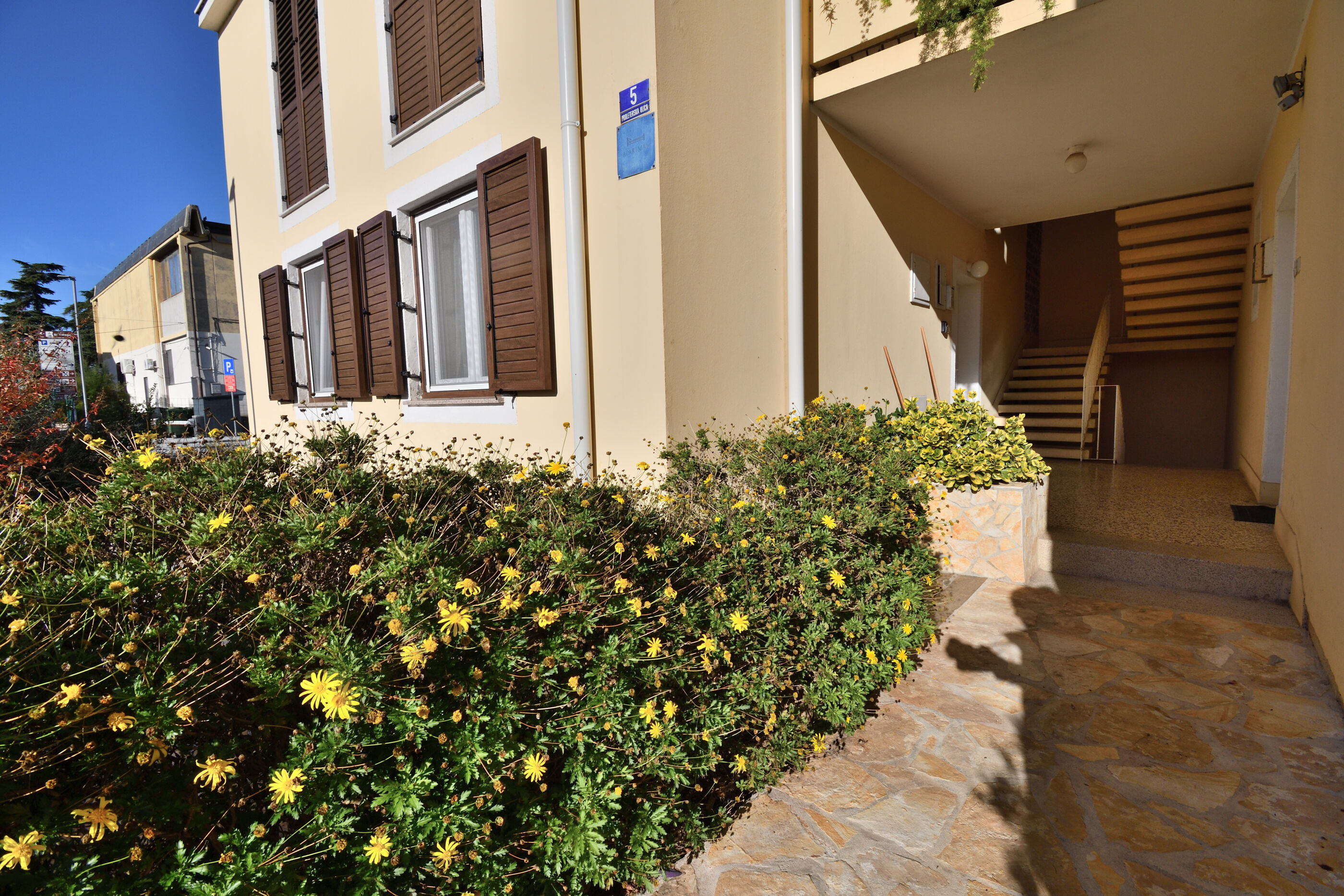 Photo of Apartment Nadica