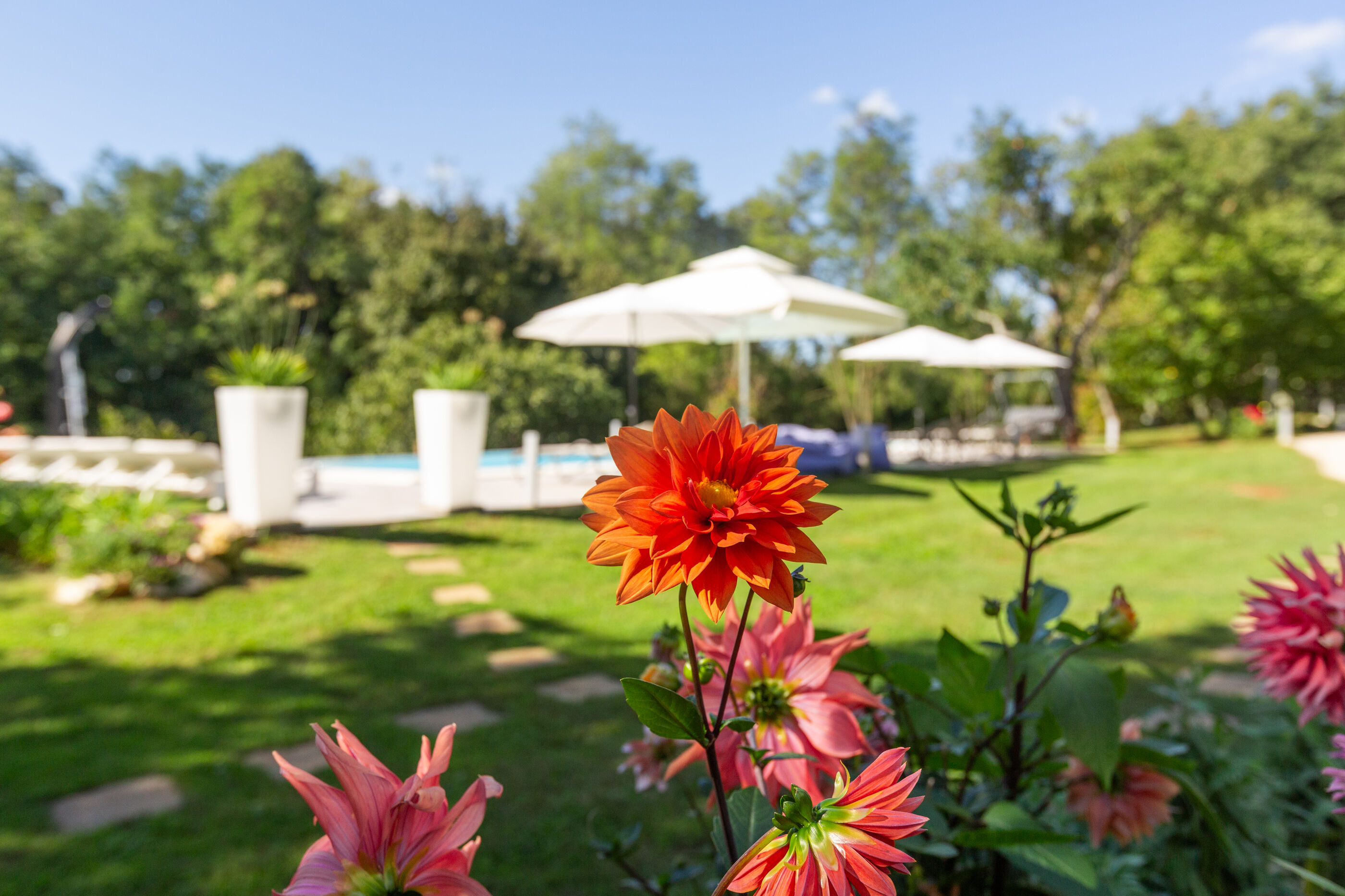 Photo of Apartments Cetri Hrasta