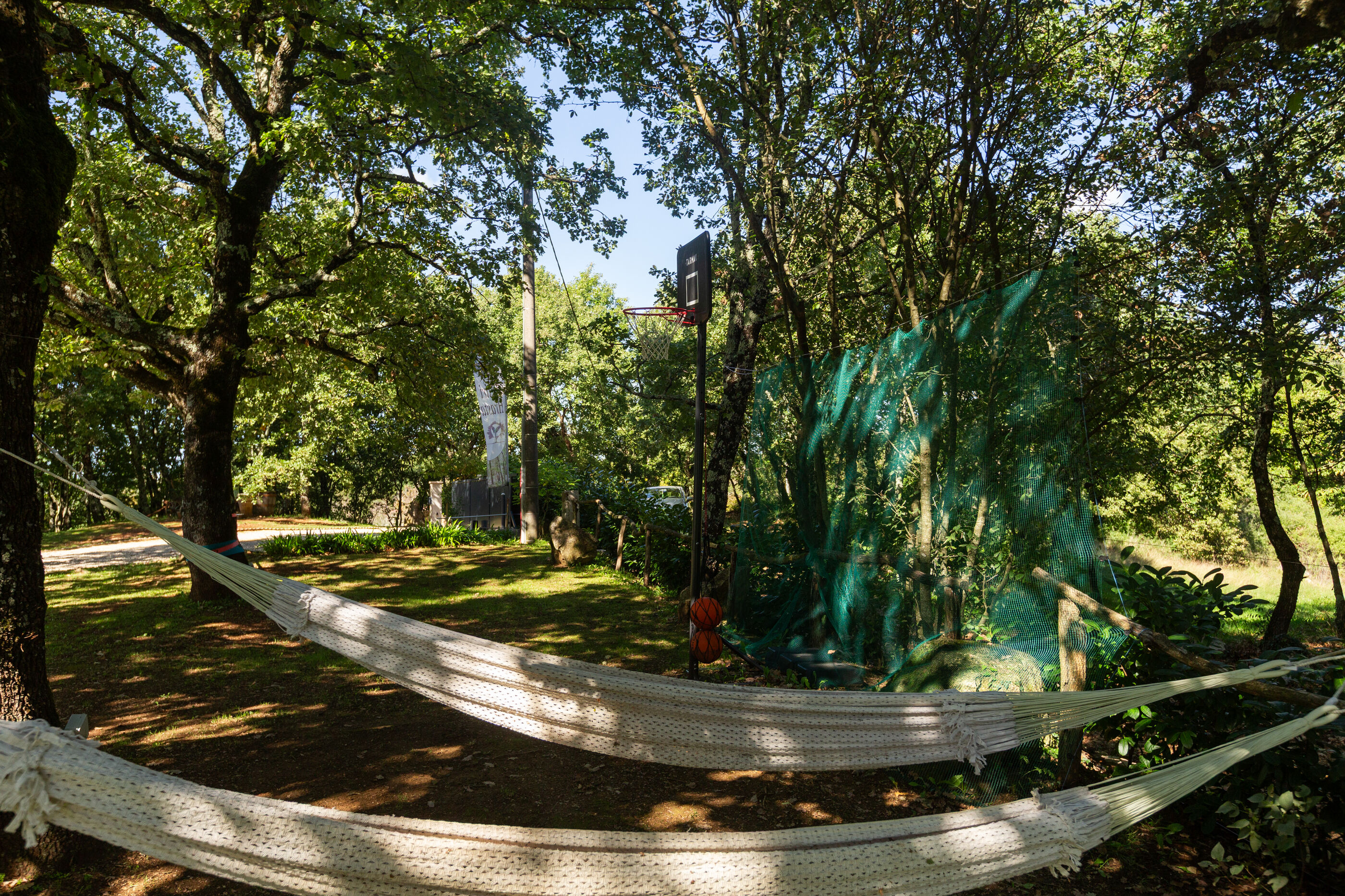 Photo of Apartments Cetri Hrasta