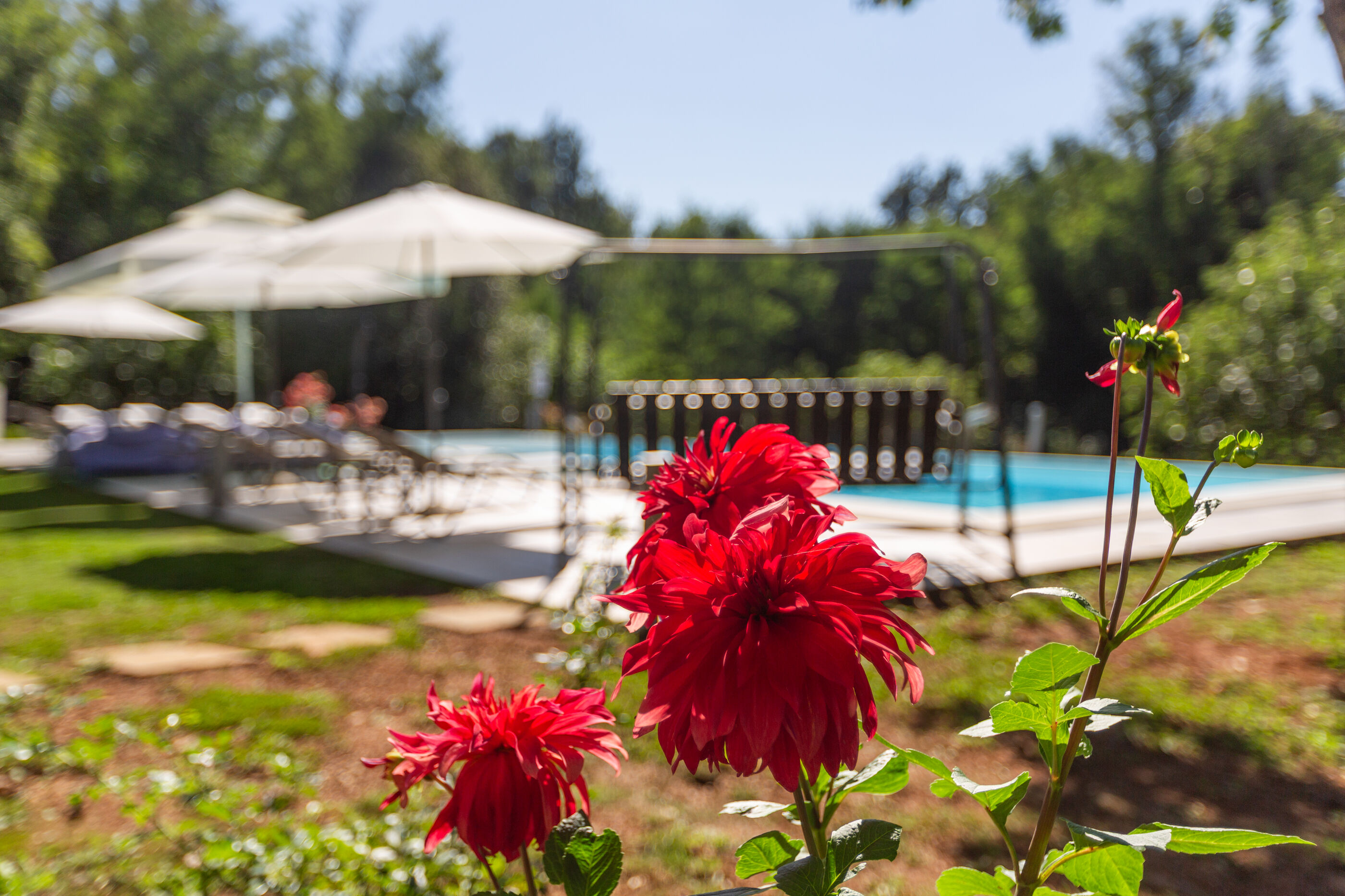 Photo of Apartments Cetri Hrasta