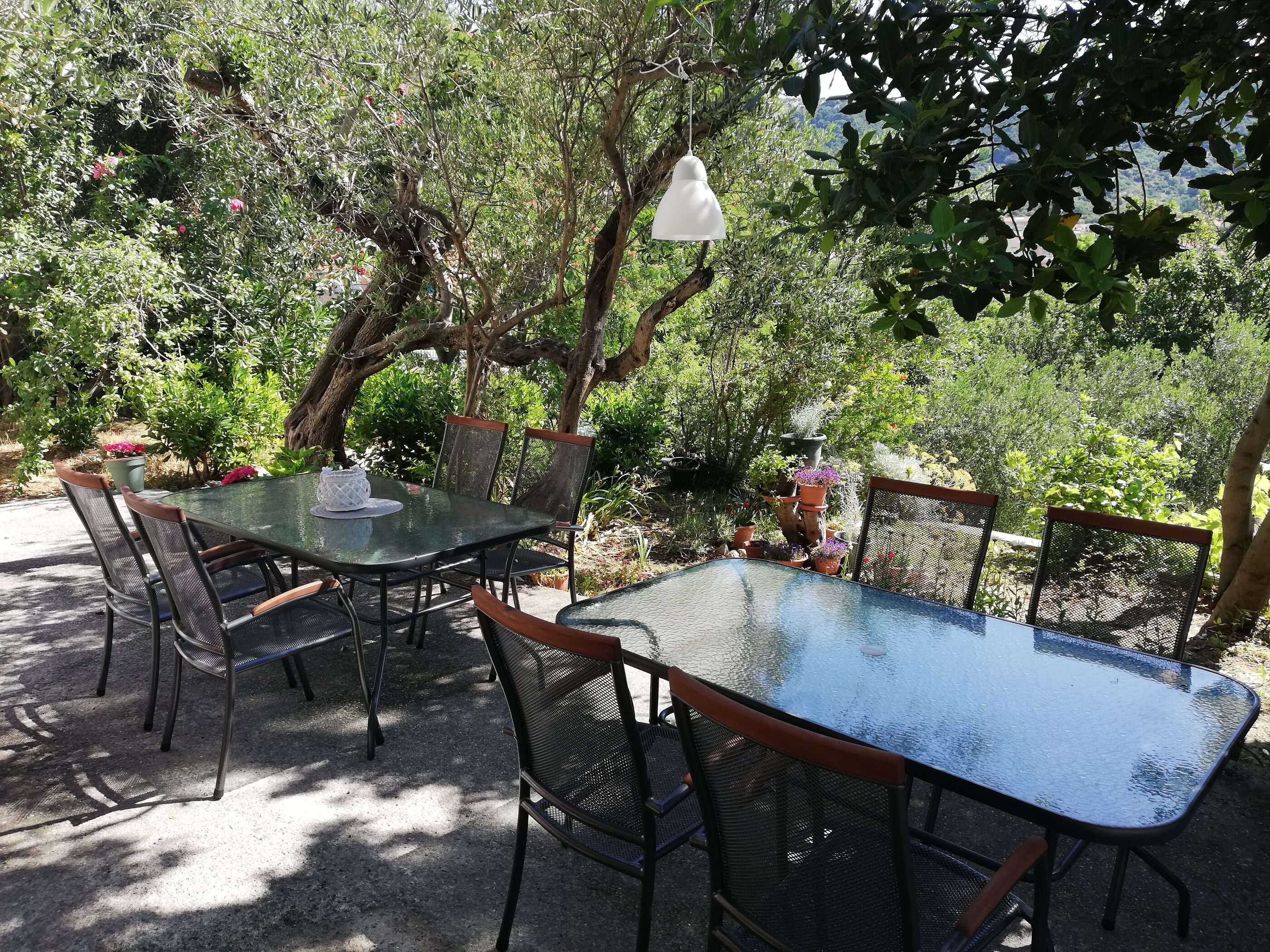 Photo of Apartments and Rooms Mery