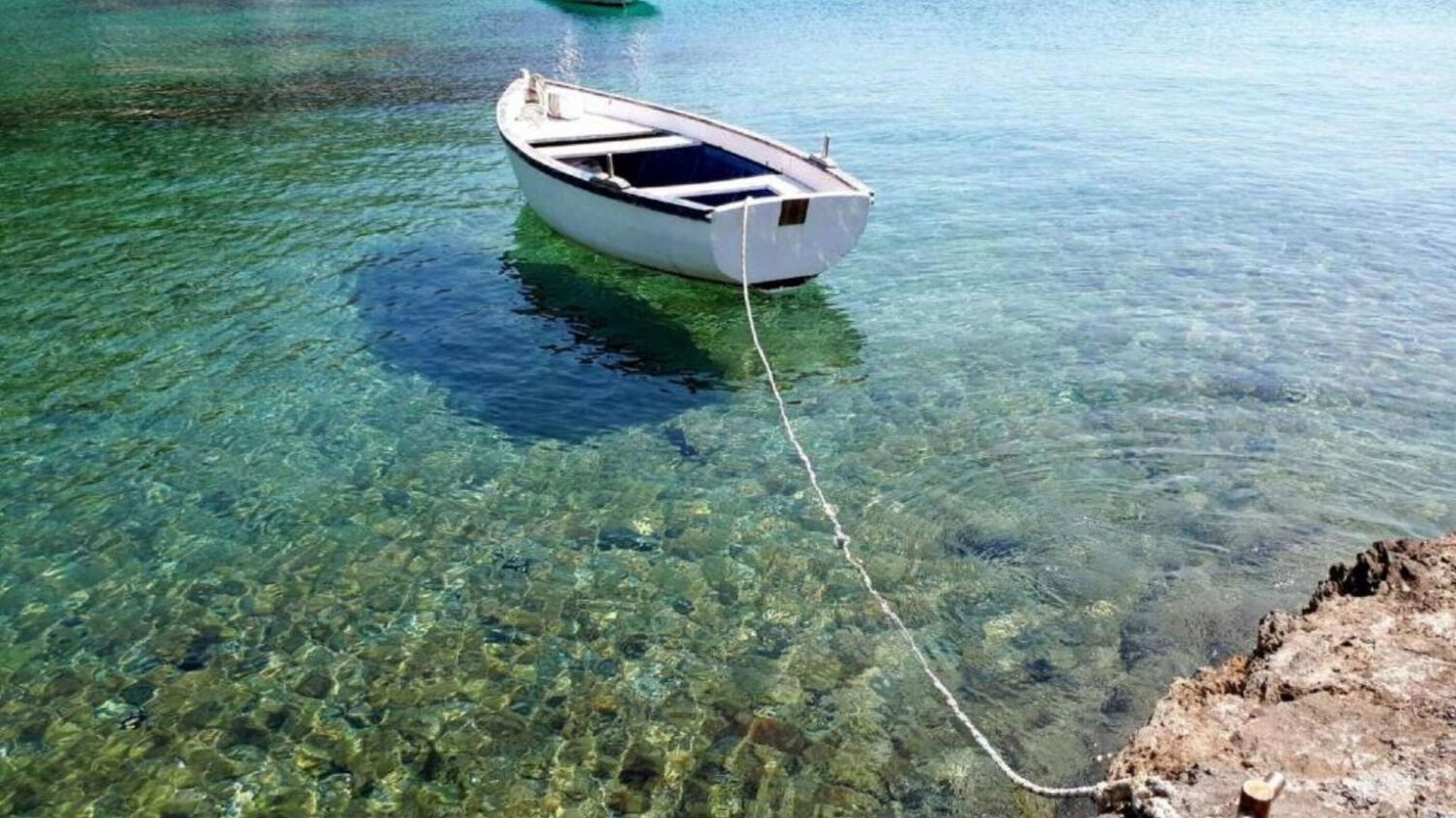 Photo of Apartments Mira