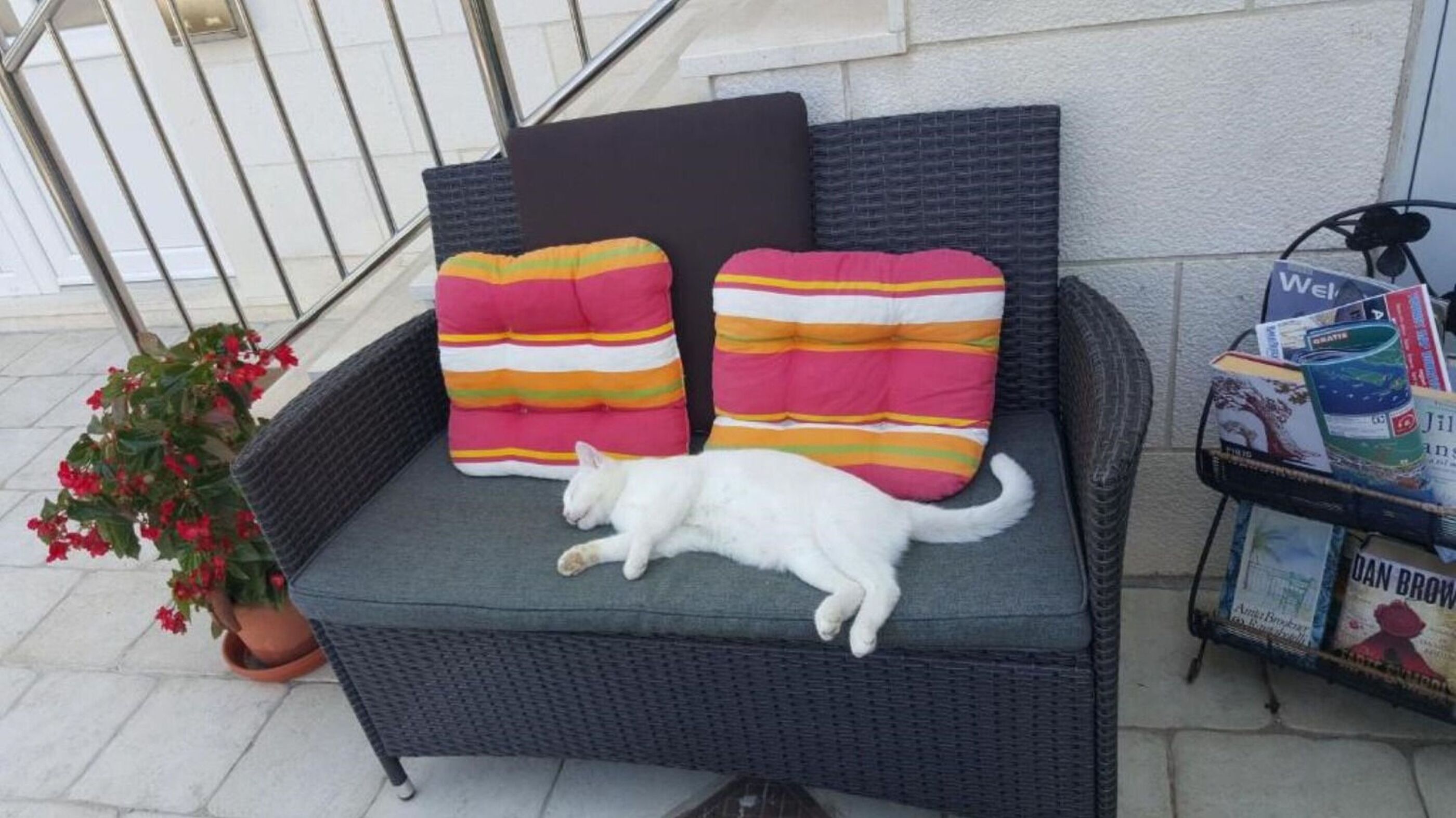 Photo of Apartments Mira