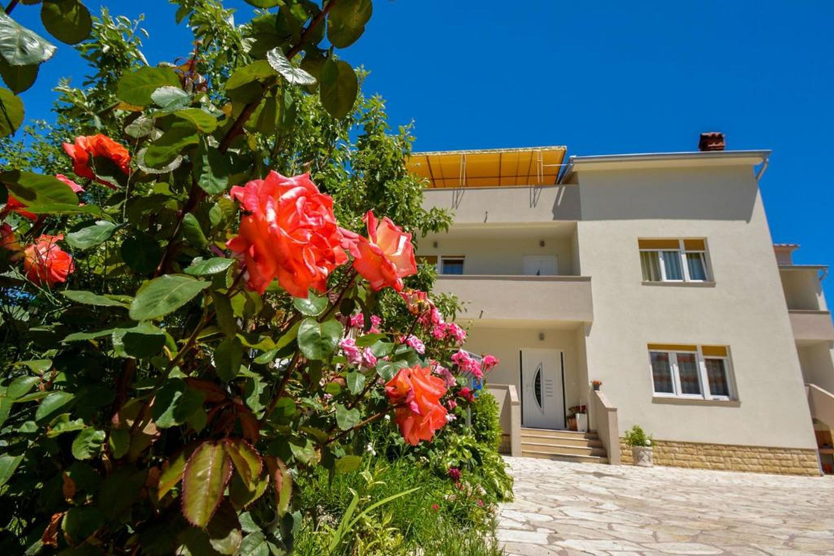 Photo of Apartments Angela