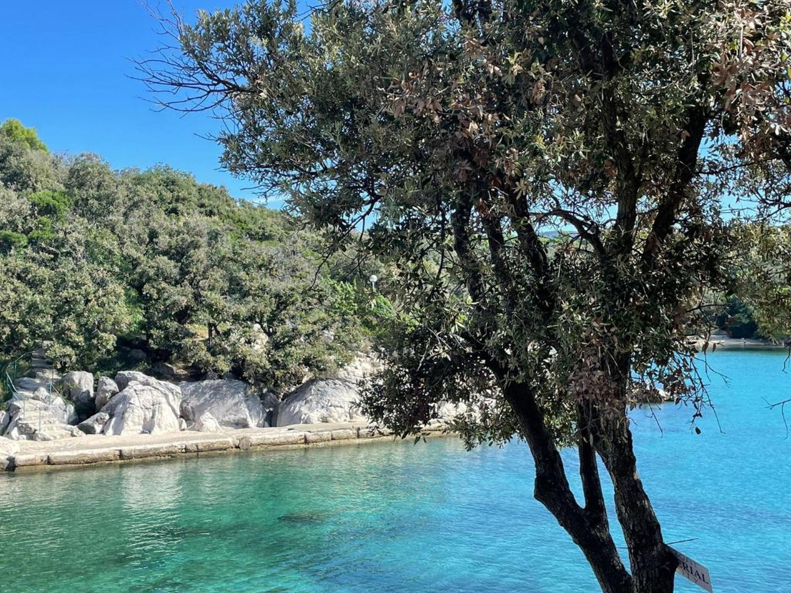 Photo of Apartments Angela