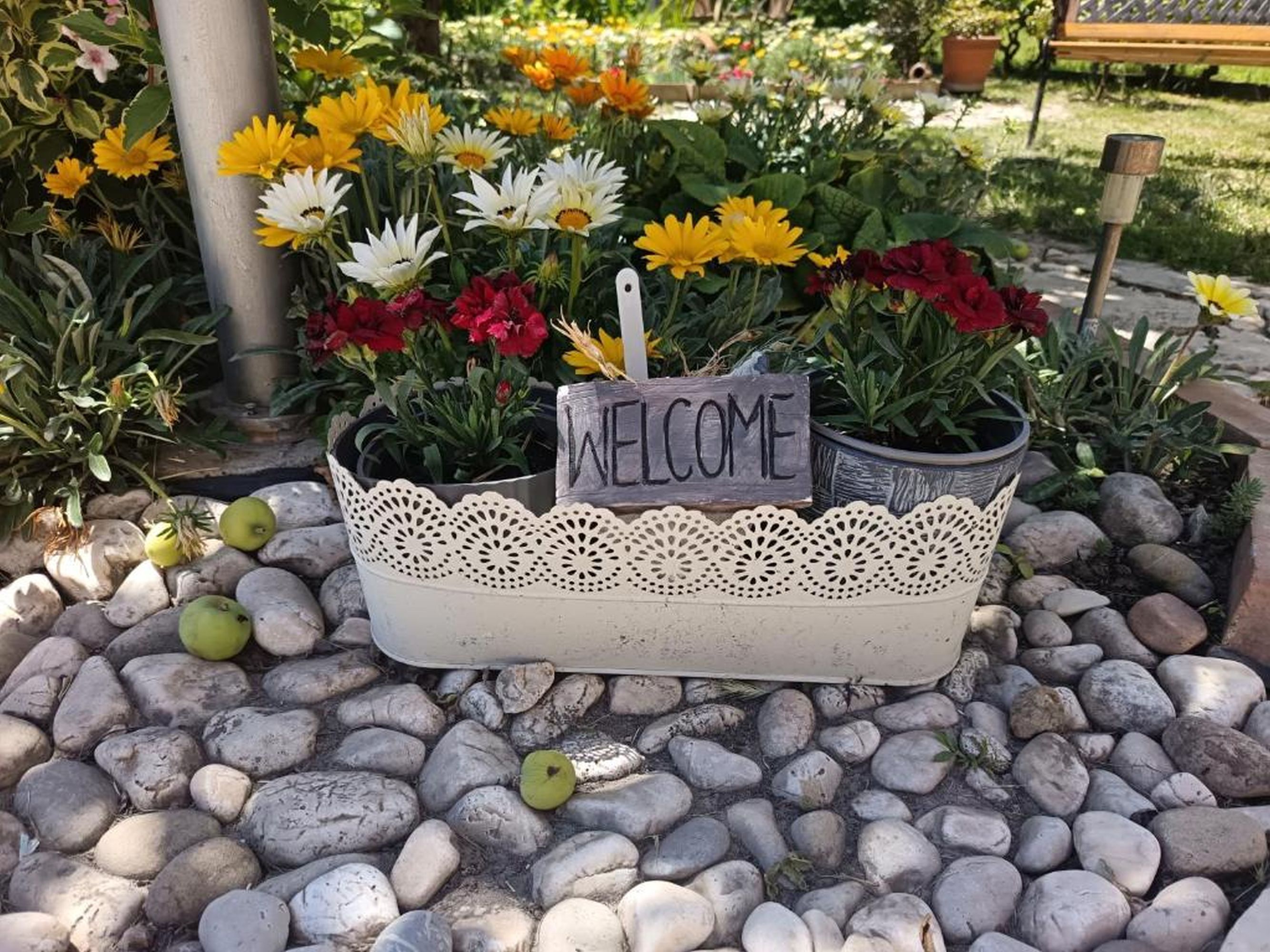 Photo of Apartments Angela