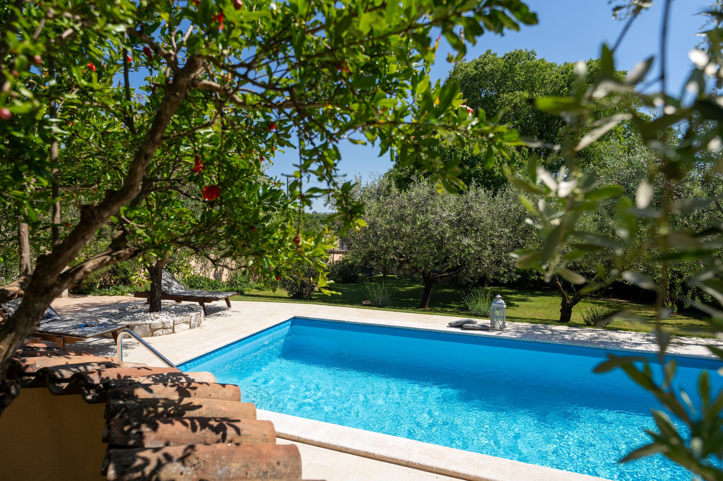 Photo of Villa Casa Olga s bazenom