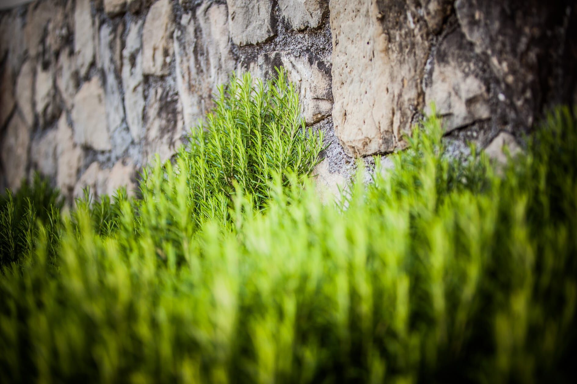 Photo of Apartments Skapul