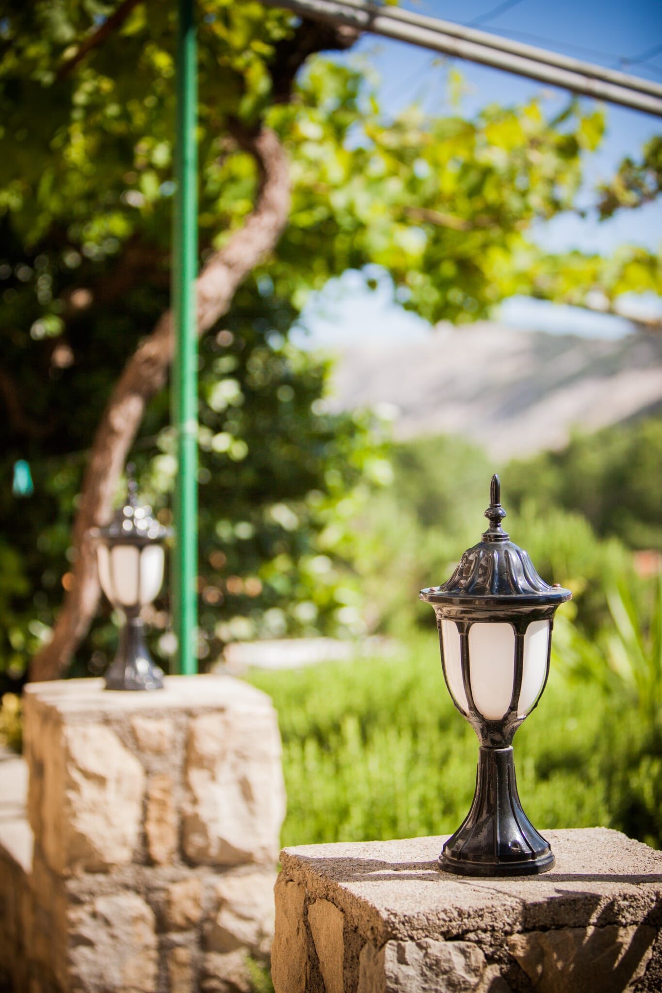 Photo of Apartments Skapul