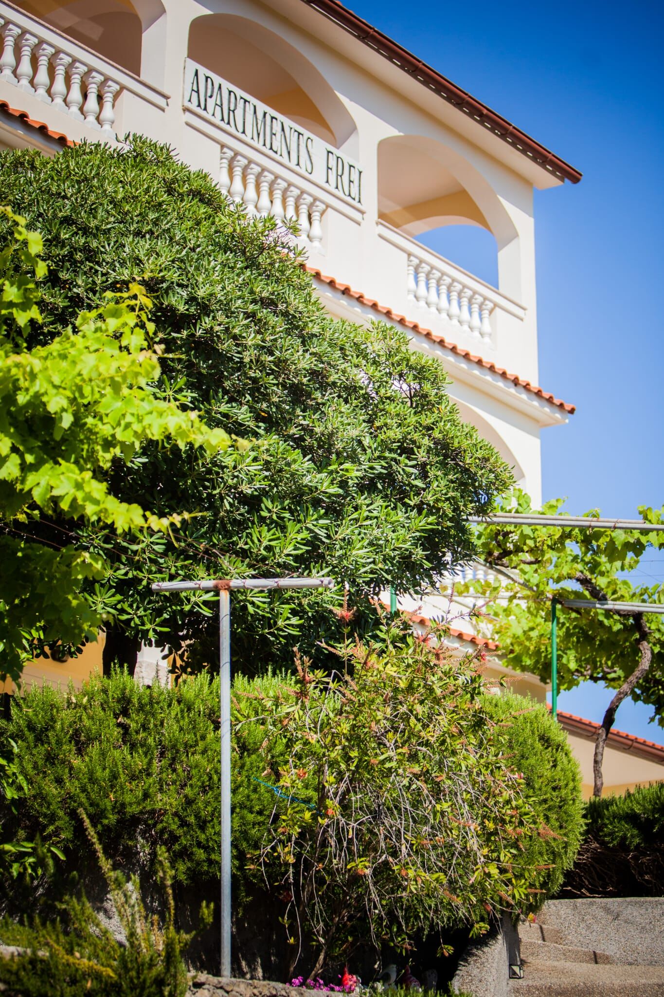 Photo of Apartments Skapul