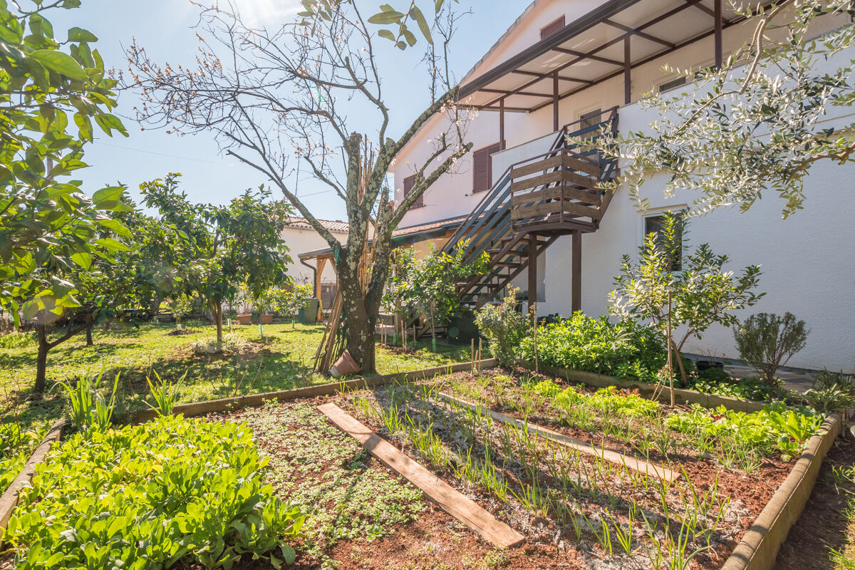 Photo of Apartment Neva