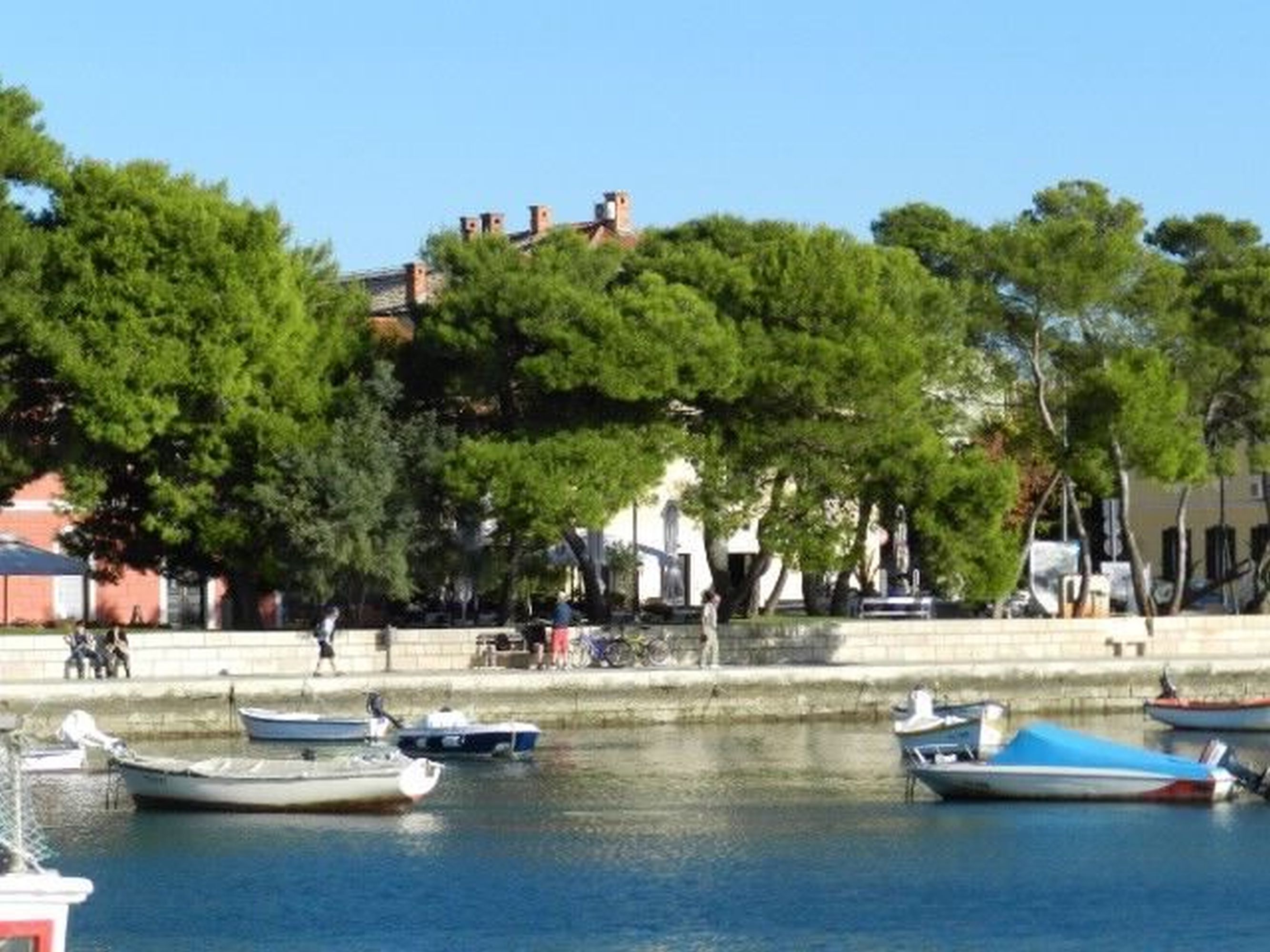 Photo of Apartments Radomir