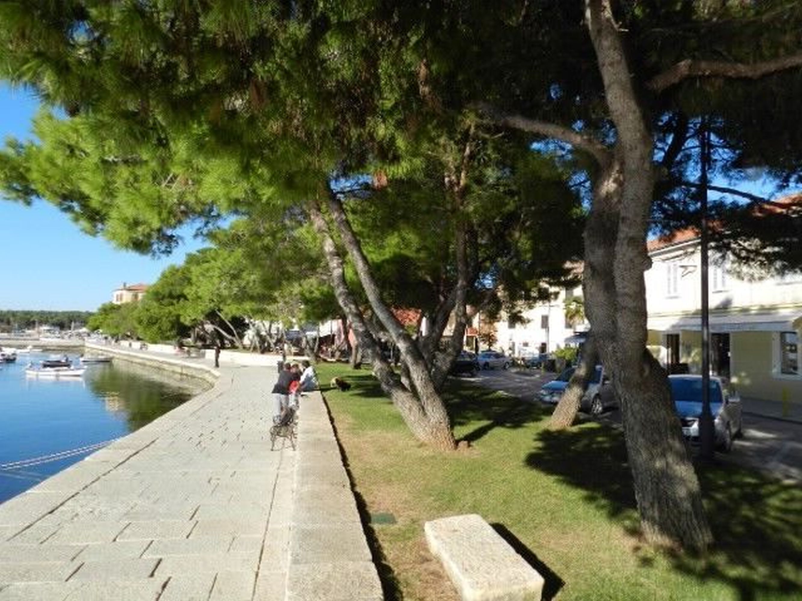 Photo of Apartments Radomir