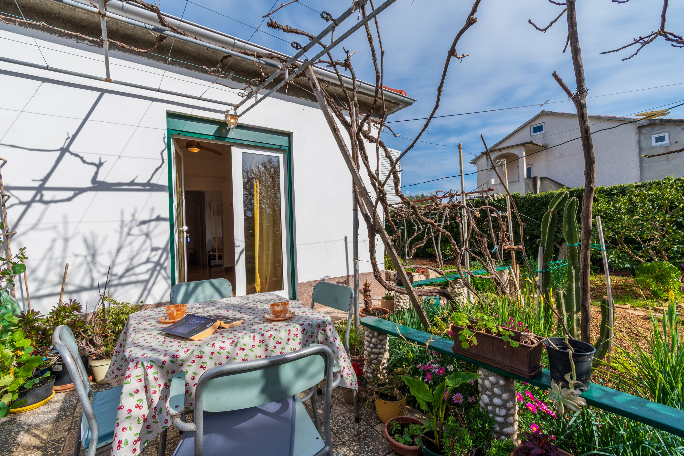 Photo of Apartment Nina