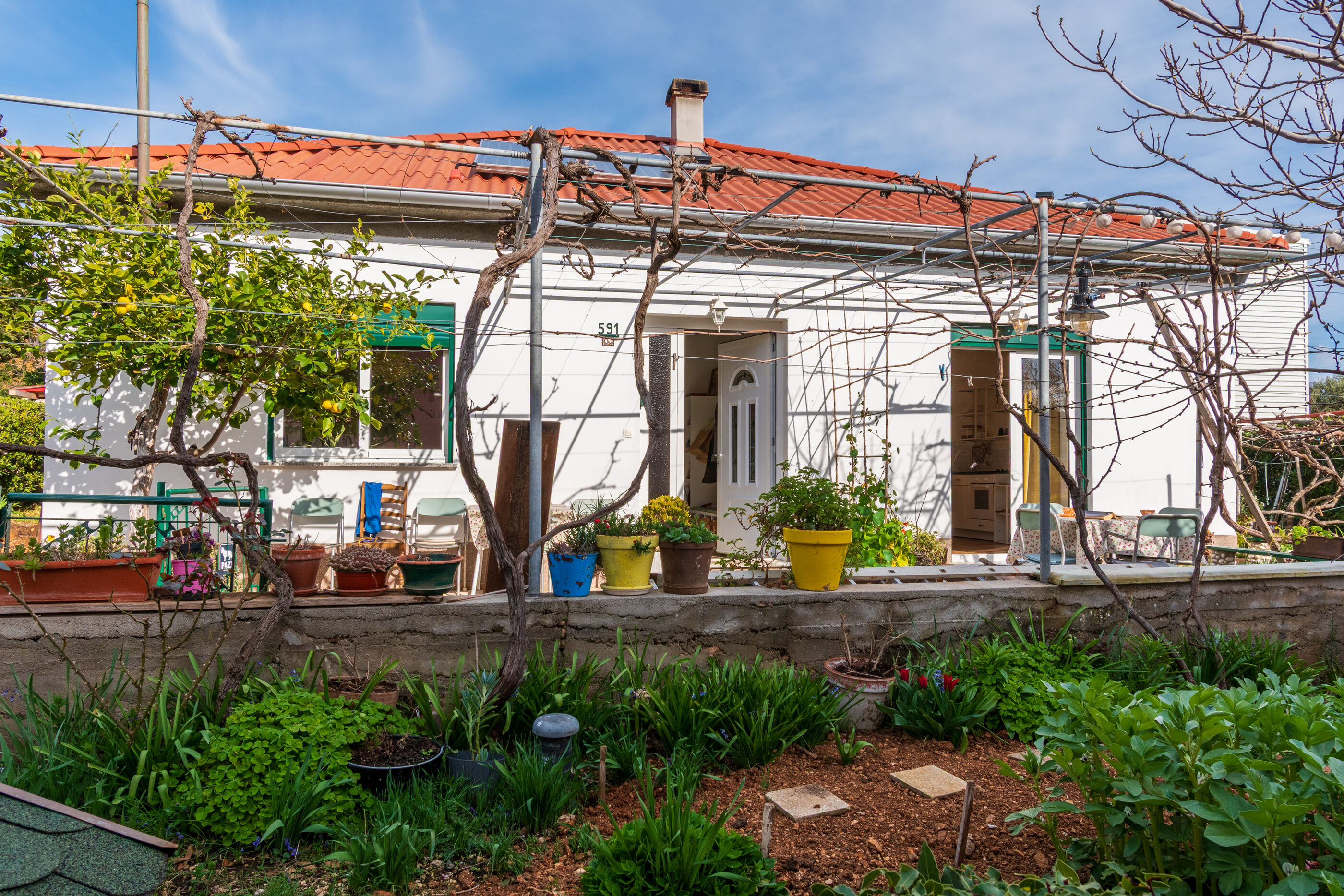 Photo of Apartment Nina