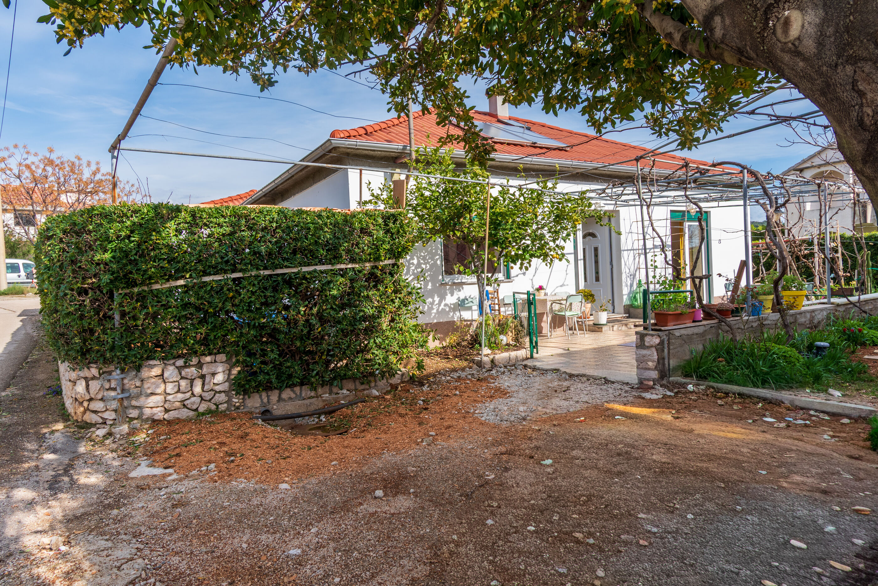 Photo of Apartment Nina