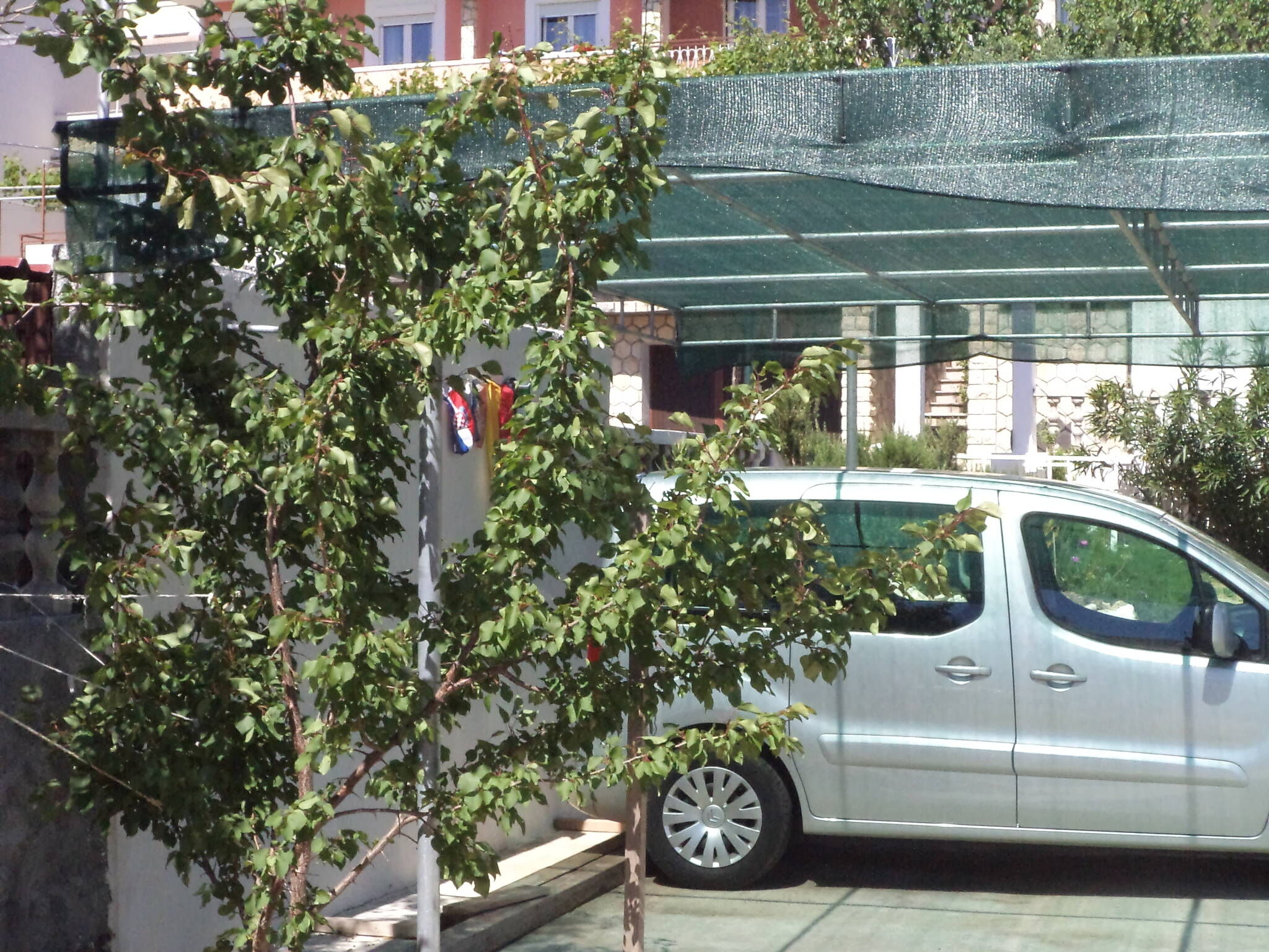 Photo of Apartments Mili